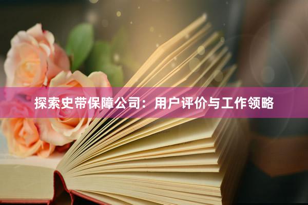 探索史带保障公司：用户评价与工作领略